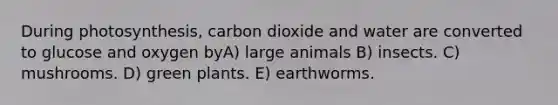 During photosynthesis, carbon dioxide and water are converted to glucose and oxygen byA) large animals B) insects. C) mushrooms. D) green plants. E) earthworms.