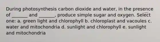 During photosynthesis carbon dioxide and water, in the presence of _______ and _______, produce simple sugar and oxygen. Select one: a. green light and chlorophyll b. chloroplast and vacoules c. water and mitochondria d. sunlight and chlorophyll e. sunlight and mitochondria