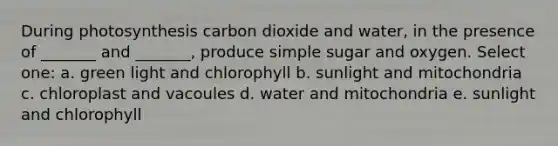 During photosynthesis carbon dioxide and water, in the presence of _______ and _______, produce simple sugar and oxygen. Select one: a. green light and chlorophyll b. sunlight and mitochondria c. chloroplast and vacoules d. water and mitochondria e. sunlight and chlorophyll