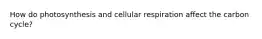 How do photosynthesis and cellular respiration affect the carbon cycle?