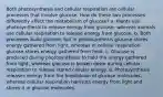 Both photosynthesis and cellular respiration are cellular processes that involve glucose. How do these two processes differently affect the metabolism of glucose? a. Plants use photosynthesis to release energy from glucose, whereas animals use cellular respiration to release energy from glucose. b. Both processes build glucose, but in photosynthesis glucose stores energy gathered from light, whereas in cellular respiration glucose stores energy gathered from heat. c. Glucose is produced during photosynthesis to hold the energy gathered from light, whereas glucose is broken down during cellular respiration to release stored cellular energy. d. Photosynthesis releases energy from the breakdown of glucose molecules, whereas cellular respiration harvests energy from light and stores it in glucose molecules.