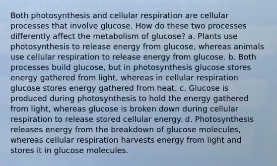 Both photosynthesis and cellular respiration are cellular processes that involve glucose. How do these two processes differently affect the metabolism of glucose? a. Plants use photosynthesis to release energy from glucose, whereas animals use cellular respiration to release energy from glucose. b. Both processes build glucose, but in photosynthesis glucose stores energy gathered from light, whereas in cellular respiration glucose stores energy gathered from heat. c. Glucose is produced during photosynthesis to hold the energy gathered from light, whereas glucose is broken down during cellular respiration to release stored cellular energy. d. Photosynthesis releases energy from the breakdown of glucose molecules, whereas cellular respiration harvests energy from light and stores it in glucose molecules.