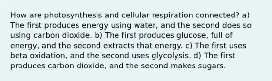 How are photosynthesis and <a href='https://www.questionai.com/knowledge/k1IqNYBAJw-cellular-respiration' class='anchor-knowledge'>cellular respiration</a> connected? a) The first produces energy using water, and the second does so using carbon dioxide. b) The first produces glucose, full of energy, and the second extracts that energy. c) The first uses beta oxidation, and the second uses glycolysis. d) The first produces carbon dioxide, and the second makes sugars.