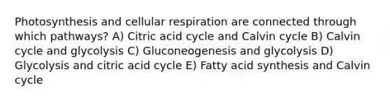 Photosynthesis and cellular respiration are connected through which pathways? A) Citric acid cycle and Calvin cycle B) Calvin cycle and glycolysis C) Gluconeogenesis and glycolysis D) Glycolysis and citric acid cycle E) Fatty acid synthesis and Calvin cycle