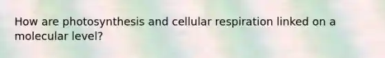 How are photosynthesis and cellular respiration linked on a molecular level?