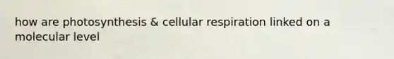 how are photosynthesis & <a href='https://www.questionai.com/knowledge/k1IqNYBAJw-cellular-respiration' class='anchor-knowledge'>cellular respiration</a> linked on a molecular level