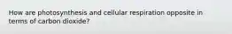 How are photosynthesis and cellular respiration opposite in terms of carbon dioxide?