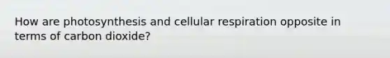 How are photosynthesis and <a href='https://www.questionai.com/knowledge/k1IqNYBAJw-cellular-respiration' class='anchor-knowledge'>cellular respiration</a> opposite in terms of carbon dioxide?