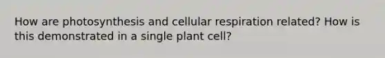 How are photosynthesis and cellular respiration related? How is this demonstrated in a single plant cell?