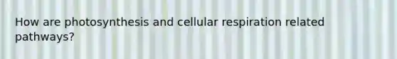 How are photosynthesis and cellular respiration related pathways?