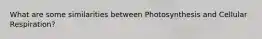 What are some similarities between Photosynthesis and Cellular Respiration?