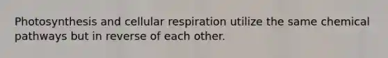 Photosynthesis and <a href='https://www.questionai.com/knowledge/k1IqNYBAJw-cellular-respiration' class='anchor-knowledge'>cellular respiration</a> utilize the same chemical pathways but in reverse of each other.