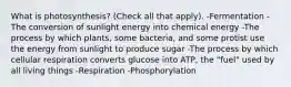 What is photosynthesis? (Check all that apply). -Fermentation -The conversion of sunlight energy into chemical energy -The process by which plants, some bacteria, and some protist use the energy from sunlight to produce sugar -The process by which cellular respiration converts glucose into ATP, the "fuel" used by all living things -Respiration -Phosphorylation