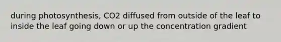 during photosynthesis, CO2 diffused from outside of the leaf to inside the leaf going down or up the concentration gradient