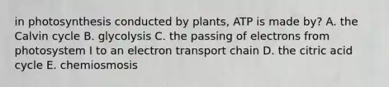 in photosynthesis conducted by plants, ATP is made by? A. the Calvin cycle B. glycolysis C. the passing of electrons from photosystem I to an electron transport chain D. the citric acid cycle E. chemiosmosis