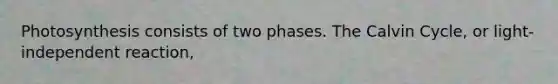 Photosynthesis consists of two phases. The Calvin Cycle, or light-independent reaction,