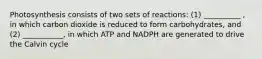 Photosynthesis consists of two sets of reactions: (1) __________ , in which carbon dioxide is reduced to form carbohydrates, and (2) ___________, in which ATP and NADPH are generated to drive the Calvin cycle