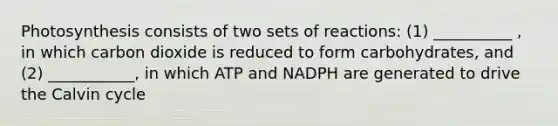 Photosynthesis consists of two sets of reactions: (1) __________ , in which carbon dioxide is reduced to form carbohydrates, and (2) ___________, in which ATP and NADPH are generated to drive the Calvin cycle