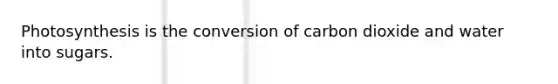 Photosynthesis is the conversion of carbon dioxide and water into sugars.