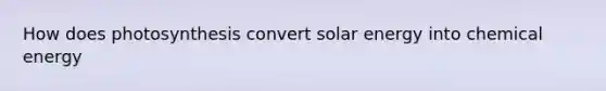 How does photosynthesis convert solar energy into chemical energy