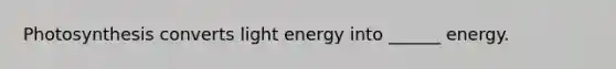 Photosynthesis converts light energy into ______ energy.