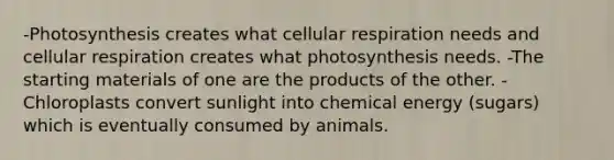 -Photosynthesis creates what cellular respiration needs and cellular respiration creates what photosynthesis needs. -The starting materials of one are the products of the other. -Chloroplasts convert sunlight into chemical energy (sugars) which is eventually consumed by animals.