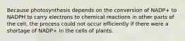 Because photosynthesis depends on the conversion of NADP+ to NADPH to carry electrons to chemical reactions in other parts of the cell, the process could not occur efficiently if there were a shortage of NADP+ in the cells of plants.