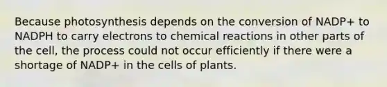 Because photosynthesis depends on the conversion of NADP+ to NADPH to carry electrons to chemical reactions in other parts of the cell, the process could not occur efficiently if there were a shortage of NADP+ in the cells of plants.