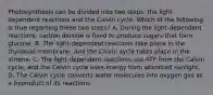 Photosynthesis can be divided into two steps: the light-dependent reactions and the Calvin cycle. Which of the following is true regarding these two steps? A. During the light-dependent reactions, carbon dioxide is fixed to produce sugars that form glucose. B. The light-dependent reactions take place in the thylakoid membrane, and the Calvin cycle takes place in the stroma. C. The light-dependent reactions use ATP from the Calvin cycle, and the Calvin cycle uses energy from absorbed sunlight. D. The Calvin cycle converts water molecules into oxygen gas as a byproduct of its reactions.