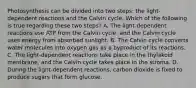 Photosynthesis can be divided into two steps: the light-dependent reactions and the Calvin cycle. Which of the following is true regarding these two steps? A. The light-dependent reactions use ATP from the Calvin cycle, and the Calvin cycle uses energy from absorbed sunlight. B. The Calvin cycle converts water molecules into oxygen gas as a byproduct of its reactions. C. The light-dependent reactions take place in the thylakoid membrane, and the Calvin cycle takes place in the stroma. D. During the light-dependent reactions, carbon dioxide is fixed to produce sugars that form glucose.