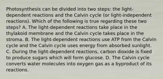 Photosynthesis can be divided into two steps: the light-dependent reactions and the Calvin cycle (or light-independent reactions). Which of the following is true regarding these two steps? A. The light-dependent reactions take place in the thylakoid membrane and the Calvin cycle takes place in the stroma. B. The light-dependent reactions use ATP from the Calvin cycle and the Calvin cycle uses energy from absorbed sunlight. C. During the light-dependent reactions, carbon dioxide is fixed to produce sugars which will form glucose. D. The Calvin cycle converts water molecules into oxygen gas as a byproduct of its reactions.