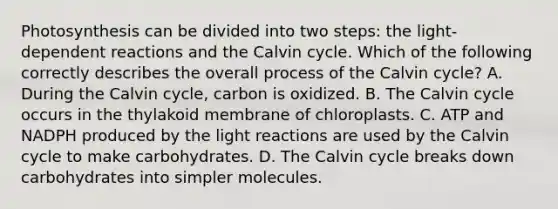 Photosynthesis can be divided into two steps: the light-dependent reactions and the Calvin cycle. Which of the following correctly describes the overall process of the Calvin cycle? A. During the Calvin cycle, carbon is oxidized. B. The Calvin cycle occurs in the thylakoid membrane of chloroplasts. C. ATP and NADPH produced by the <a href='https://www.questionai.com/knowledge/kSUoWrrvoC-light-reactions' class='anchor-knowledge'>light reactions</a> are used by the Calvin cycle to make carbohydrates. D. The Calvin cycle breaks down carbohydrates into simpler molecules.