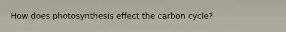 How does photosynthesis effect the carbon cycle?
