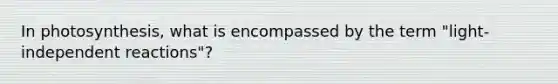 In photosynthesis, what is encompassed by the term "light-independent reactions"?