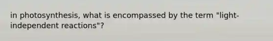 in photosynthesis, what is encompassed by the term "light-independent reactions"?