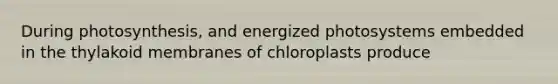 During photosynthesis, and energized photosystems embedded in the thylakoid membranes of chloroplasts produce