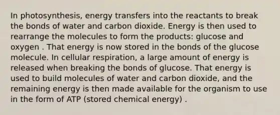 In photosynthesis, energy transfers into the reactants to break the bonds of water and carbon dioxide. Energy is then used to rearrange the molecules to form the products: glucose and oxygen . That energy is now stored in the bonds of the glucose molecule. In <a href='https://www.questionai.com/knowledge/k1IqNYBAJw-cellular-respiration' class='anchor-knowledge'>cellular respiration</a>, a large amount of energy is released when breaking the bonds of glucose. That energy is used to build molecules of water and carbon dioxide, and the remaining energy is then made available for the organism to use in the form of ATP (stored chemical energy) .