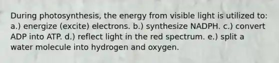 During photosynthesis, the energy from visible light is utilized to: a.) energize (excite) electrons. b.) synthesize NADPH. c.) convert ADP into ATP. d.) reflect light in the red spectrum. e.) split a water molecule into hydrogen and oxygen.