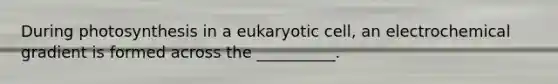 During photosynthesis in a eukaryotic cell, an electrochemical gradient is formed across the __________.