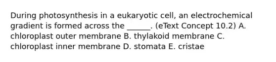 During photosynthesis in a eukaryotic cell, an electrochemical gradient is formed across the ______. (eText Concept 10.2) A. chloroplast outer membrane B. thylakoid membrane C. chloroplast inner membrane D. stomata E. cristae