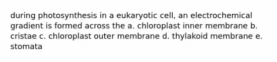 during photosynthesis in a eukaryotic cell, an electrochemical gradient is formed across the a. chloroplast inner membrane b. cristae c. chloroplast outer membrane d. thylakoid membrane e. stomata