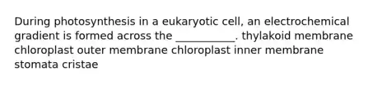 During photosynthesis in a eukaryotic cell, an electrochemical gradient is formed across the ___________. thylakoid membrane chloroplast outer membrane chloroplast inner membrane stomata cristae