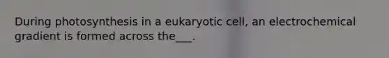 During photosynthesis in a eukaryotic cell, an electrochemical gradient is formed across the___.