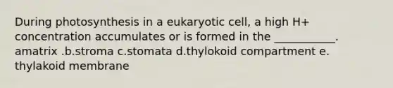 During photosynthesis in a eukaryotic cell, a high H+ concentration accumulates or is formed in the ___________. amatrix .b.stroma c.stomata d.thylokoid compartment e. thylakoid membrane