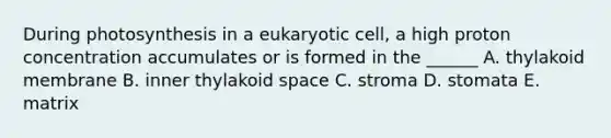 During photosynthesis in a eukaryotic cell, a high proton concentration accumulates or is formed in the ______ A. thylakoid membrane B. inner thylakoid space C. stroma D. stomata E. matrix