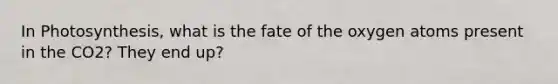 In Photosynthesis, what is the fate of the oxygen atoms present in the CO2? They end up?