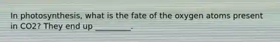 In photosynthesis, what is the fate of the oxygen atoms present in CO2? They end up _________.