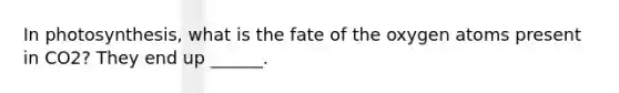 In photosynthesis, what is the fate of the oxygen atoms present in CO2? They end up ______.