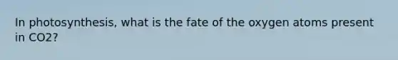 In photosynthesis, what is the fate of the oxygen atoms present in CO2?