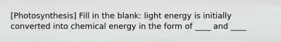 [Photosynthesis] Fill in the blank: light energy is initially converted into chemical energy in the form of ____ and ____